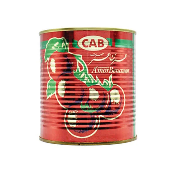 Concentré de Tomate CAB 12x800g