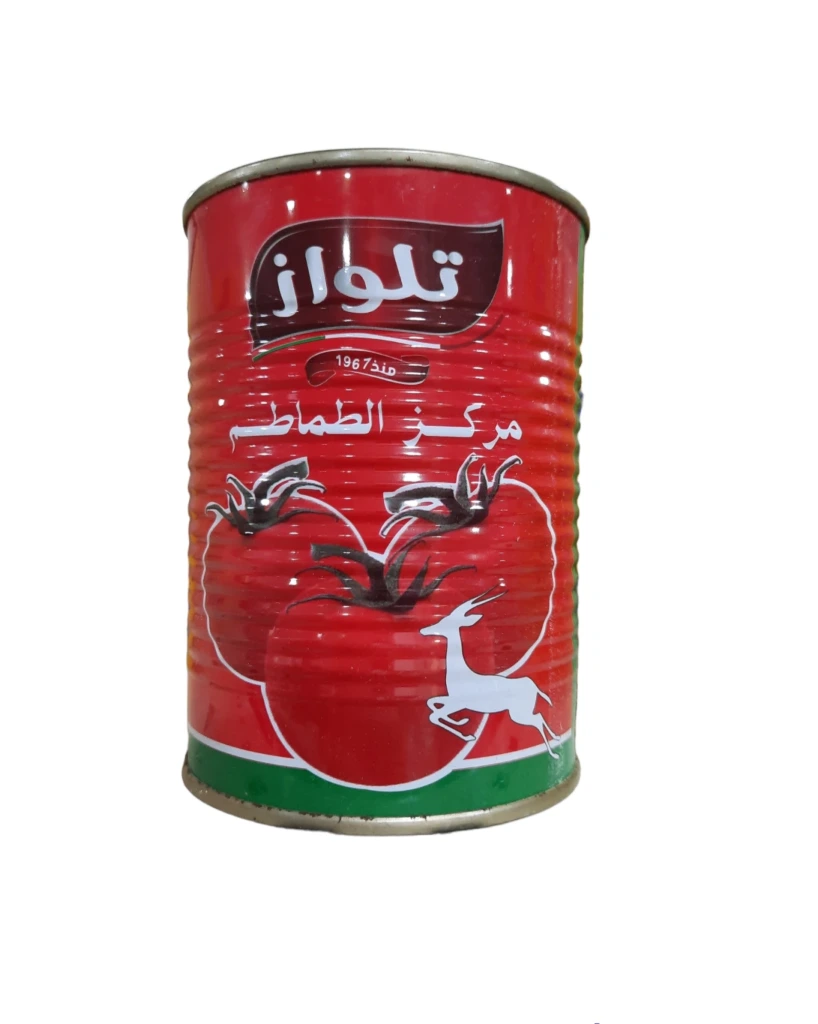 Concentré de tomate Telloise 24x500g