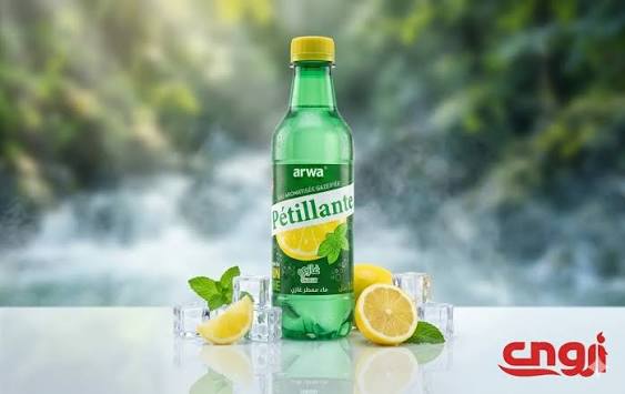 Eau pétillante Arwa citron 12x33 cl
